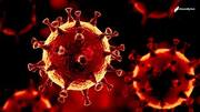 दक्षिण अफ्रीका: HIV से पीड़ित महिला में 216 दिन तक रहा कोरोना वायरस, 30 म्यूटेशन हुए