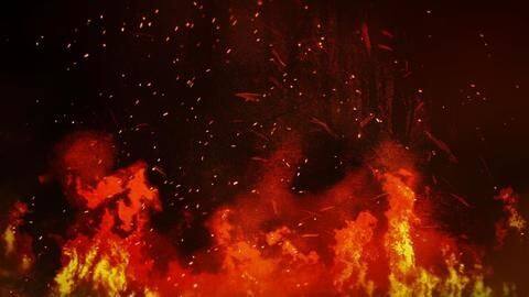 महाराष्ट्र: सरकारी अस्पताल में लगी आग, 10 नवजात शिशुओं की मौत महाराष्ट्र: सरकारी अस्पताल में लगी आग, 10 नवजात शिशुओं की मौत