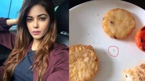 प्रियंका चोपड़ा की कजिन मीरा ने 5 स्टार होटल में खाना किया ऑर्डर, निकले कीड़े प्रियंका चोपड़ा की कजिन मीरा ने 5 स्टार होटल में खाना किया ऑर्डर, निकले कीड़े