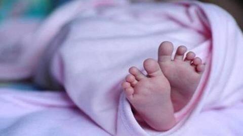 उत्तर प्रदेश: निजी अस्पताल के ऑपरेशन थियेटर में घुसे आवारा कुत्ते ने नवजात को नोचा, मौत उत्तर प्रदेश: निजी अस्पताल के ऑपरेशन थियेटर में घुसे आवारा कुत्ते ने नवजात को नोचा, मौत