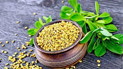 स्वास्थ्य के लिए नुकसानदायक है मेथी का अधिक सेवन, हो सकती हैं ये समस्याएं स्वास्थ्य के लिए नुकसानदायक है मेथी का अधिक सेवन, हो सकती हैं ये समस्याएं