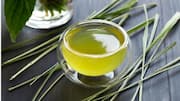 गर्मियों के दौरान इन 5 तेल का करें इस्तेमाल, शरीर को मिल सकती है ठंडक