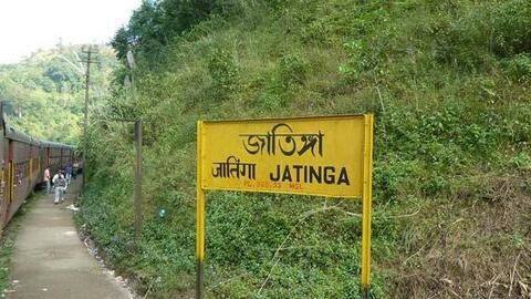हर साल आते हैं हज़ारों सैलानी हर साल आते हैं हज़ारों सैलानी