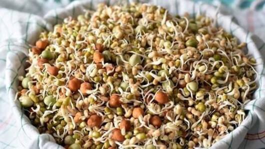 गर्मियों में अंकुरित अनाज खाने के अनोखे फ़ायदे