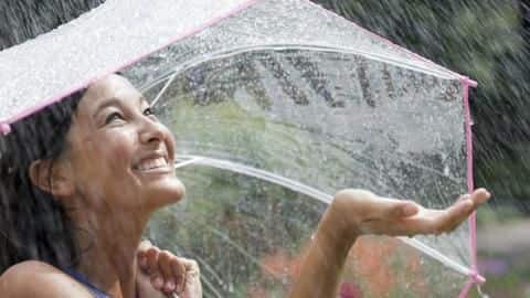 बारिश के मौसम में इस तरह करें अपने बालों की देखभाल, नहीं होगी कोई समस्या बारिश के मौसम में इस तरह करें अपने बालों की देखभाल, नहीं होगी कोई समस्या