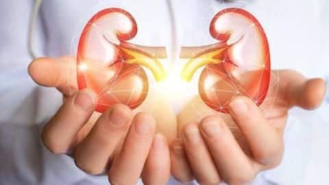 किडनी स्टोन से परेशान हैं? छुटकारा पाने के लिए जीवनशैली में करें ये बदलाव किडनी स्टोन से परेशान हैं? छुटकारा पाने के लिए जीवनशैली में करें ये बदलाव