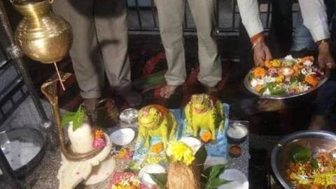 मध्य प्रदेश: पहले बारिश कराने के लिए कराई मेंढक की शादी, बाढ़ आने पर करवाया तलाक़ मध्य प्रदेश: पहले बारिश कराने के लिए कराई मेंढक की शादी, बाढ़ आने पर करवाया तलाक़
