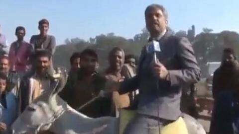 पाकिस्तानी रिपोर्टर ने गधे पर बैठकर की ऐसी रिपोर्टिंग की वीडियो हो गया वायरल पाकिस्तानी रिपोर्टर ने गधे पर बैठकर की ऐसी रिपोर्टिंग की वीडियो हो गया वायरल
