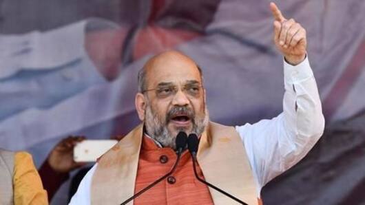 दिसंबर तक भाजपा अध्यक्ष बने रहेंगे अमित शाह