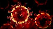 कोरोना वायरस के कारण एक लाख से ज्यादा मौतें, इनमें से आधी पिछले सप्ताह हुई