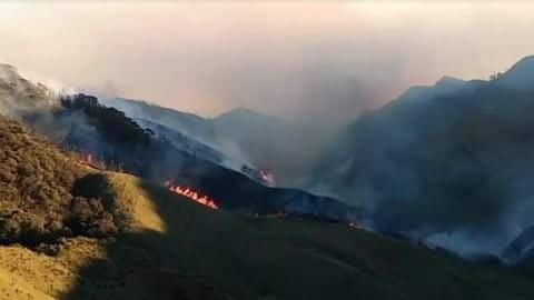 मणिपुर-नागालैंड सीमा पर दजुको घाटी के बड़े हिस्से में भीषण आग, NDRF को बुलाया गया मणिपुर-नागालैंड सीमा पर दजुको घाटी के बड़े हिस्से में भीषण आग, NDRF को बुलाया गया