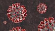 कई सालों तक जारी रहा तो मौसमी बीमारी बन जाएगा कोरोना वायरस- संयुक्त राष्ट्र