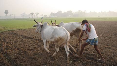 लाखों भूमिहीन किसानों को लोन देगी ओडिशा सरकार, अपनी तरह की पहली योजना लाखों भूमिहीन किसानों को लोन देगी ओडिशा सरकार, अपनी तरह की पहली योजना