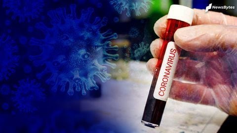 कोरोना वायरस: एंटी-बॉडी टेस्ट क्या होते हैं और इनसे क्या पता चलता है?