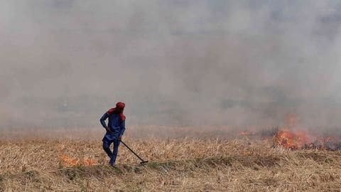 पंजाब में इस साल 46 प्रतिशत बढ़ी पराली जलाने की घटनाएं, हरियाणा में कम हुईं पंजाब में इस साल 46 प्रतिशत बढ़ी पराली जलाने की घटनाएं, हरियाणा में कम हुईं