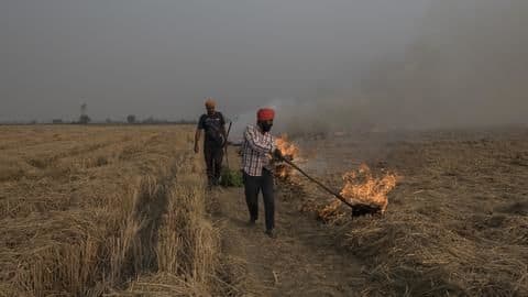पराली जलाने से होने वाले प्रदूषण से बचा सकते हैं पूसा इंस्टीट्यूट के ये कैप्सूल पराली जलाने से होने वाले प्रदूषण से बचा सकते हैं पूसा इंस्टीट्यूट के ये कैप्सूल
