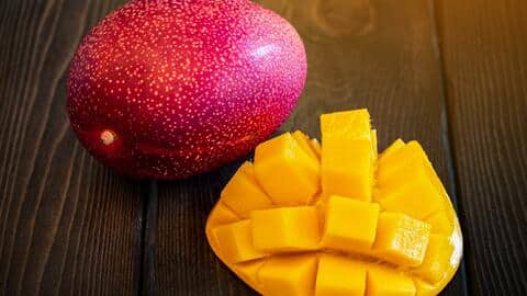 मध्य प्रदेश: आम के पेड़ों की सिक्योरिटी में लगे कई गार्ड और कुत्ते, जानिए वजह मध्य प्रदेश: आम के पेड़ों की सिक्योरिटी में लगे कई गार्ड और कुत्ते, जानिए वजह