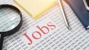 HSSC Recruitment: पटवारी समेत विभिन्न पदों पर निकली भर्ती, जल्द करें आवेदन