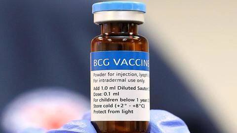 कोरोना वायरस की संक्रमण और मृत्यु दर कम करने में सहायक है BCG वैक्सीन- स्टडी कोरोना वायरस की संक्रमण और मृत्यु दर कम करने में सहायक है BCG वैक्सीन- स्टडी