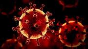 अभी तक कोरोना वायरस के बारे में क्या-क्या जानते हैं वैज्ञानिक और कब तक आएगी वैक्सीन?