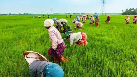 पंजाब और छत्तीसगढ़ के बाद राजस्थान की कांग्रेस सरकार भी लाई कृषि कानूनों के खिलाफ विधेयक पंजाब और छत्तीसगढ़ के बाद राजस्थान की कांग्रेस सरकार भी लाई कृषि कानूनों के खिलाफ विधेयक