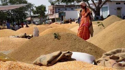 आधुनिक कृषि बाजार खोलने के लिए दिए गए फंड का मात्र 0.5% हुआ इस्तेमाल आधुनिक कृषि बाजार खोलने के लिए दिए गए फंड का मात्र 0.5% हुआ इस्तेमाल
