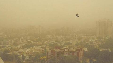 दिल्ली-NCR: प्रदूषण नियंत्रण बोर्ड की दफ्तरों को सलाह, कर्मचारियों को घर से काम करने दें दिल्ली-NCR: प्रदूषण नियंत्रण बोर्ड की दफ्तरों को सलाह, कर्मचारियों को घर से काम करने दें