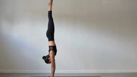 अधोमुख वृक्षासन: स्वास्थ्य के लिए फायदेमंद है यह योगासन, जानिए इससे जुड़ी महत्वपूर्ण बातें अधोमुख वृक्षासन: स्वास्थ्य के लिए फायदेमंद है यह योगासन, जानिए इससे जुड़ी महत्वपूर्ण बातें