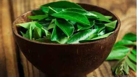 घर पर बनाएं करी पत्ता हेयर मास्क, इस्तेमाल करके पाएं लंबे और खूबसूरत बाल घर पर बनाएं करी पत्ता हेयर मास्क, इस्तेमाल करके पाएं लंबे और खूबसूरत बाल