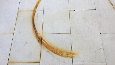 इन टिप्स की मदद से आसानी से हटाएं टाइल्स पर लगे गैस सिलेंडर के दाग इन टिप्स की मदद से आसानी से हटाएं टाइल्स पर लगे गैस सिलेंडर के दाग