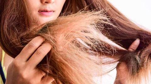 रूखे और बेजान बालों को ठीक करने के लिए अपनाएं ये आसान टिप्स रूखे और बेजान बालों को ठीक करने के लिए अपनाएं ये आसान टिप्स