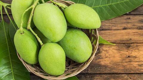 स्वाद ही नहीं बल्कि सेहत के लिहाज से भी लाभदायक है कच्चा आम, जानें इसके फायदे स्वाद ही नहीं बल्कि सेहत के लिहाज से भी लाभदायक है कच्चा आम, जानें इसके फायदे