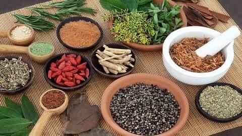 आयुष मंत्रालय ने बताया मानसून में स्वस्थ रहने के लिए क्या करना सही और क्या गलत आयुष मंत्रालय ने बताया मानसून में स्वस्थ रहने के लिए क्या करना सही और क्या गलत