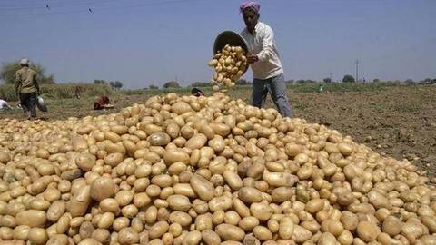 महंगाई: 40 रुपये किलो पर पहुंचा आलू का मासिक औसत मूल्य, एक दशक में सबसे अधिक महंगाई: 40 रुपये किलो पर पहुंचा आलू का मासिक औसत मूल्य, एक दशक में सबसे अधिक
