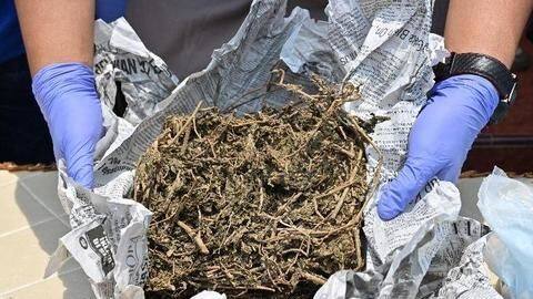 दिल्ली पुलिस की काली करतूत, 160 किलो गांजा जब्त कर ब्लैक में बेच दिया 159 किलो दिल्ली पुलिस की काली करतूत, 160 किलो गांजा जब्त कर ब्लैक में बेच दिया 159 किलो