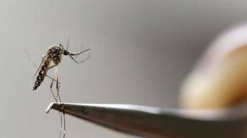कोरोना महामारी के बीच चीन का एक और वायरस भारत में फैला सकता है बीमारी- ICMR कोरोना महामारी के बीच चीन का एक और वायरस भारत में फैला सकता है बीमारी- ICMR