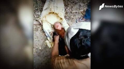 मेरठ: टाट की बोरियों में लपेटकर नवजात मासूम को फेंका, घंटों बाद मिली जिंदा मेरठ: टाट की बोरियों में लपेटकर नवजात मासूम को फेंका, घंटों बाद मिली जिंदा