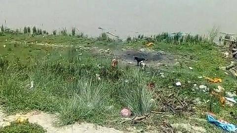 बिहार में शर्मसार हुई मानवता, कोरोना वायरस संक्रमित के शव को कुत्तों ने खाया बिहार में शर्मसार हुई मानवता, कोरोना वायरस संक्रमित के शव को कुत्तों ने खाया