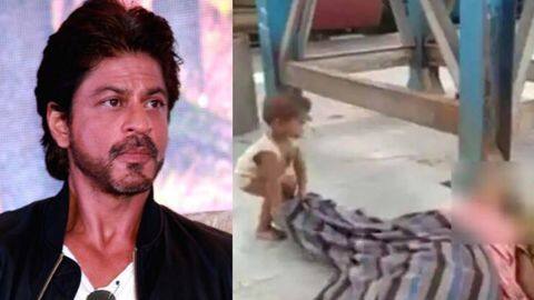 मां के शव को जगाते देख पसीज उठा शाहरुख खान का दिल, मदद को आए आगे मां के शव को जगाते देख पसीज उठा शाहरुख खान का दिल, मदद को आए आगे