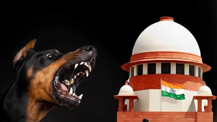 सुप्रीम कोर्ट ने आवारा कुत्तों के मुद्दे पर राज्य सरकारों को क्यों लगाई फटकार?