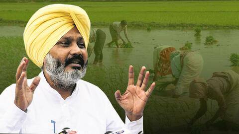 पंजाब: करीब 2,000 डिफॉल्टर किसानों के खिलाफ गिरफ्तारी वारंट जारी, विवाद शुरू पंजाब: करीब 2,000 डिफॉल्टर किसानों के खिलाफ गिरफ्तारी वारंट जारी, विवाद शुरू