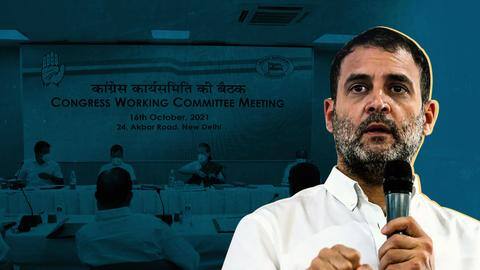 राहुल गांधी फिर बन सकते हैं कांग्रेस अध्यक्ष, कमान संभालने पर करेंगे विचार राहुल गांधी फिर बन सकते हैं कांग्रेस अध्यक्ष, कमान संभालने पर करेंगे विचार