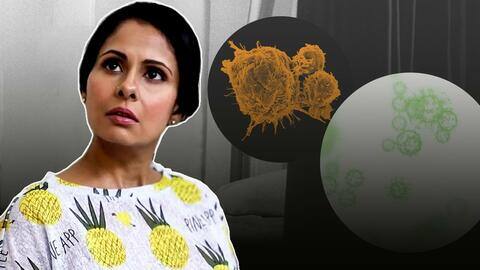 कैंसर से जूझ रहीं टीवी एक्ट्रेस छवि मित्तल, बोलीं- जंग आसान नहीं, लेकिन हौसले बुलंद हैं कैंसर से जूझ रहीं टीवी एक्ट्रेस छवि मित्तल, बोलीं- जंग आसान नहीं, लेकिन हौसले बुलंद हैं