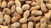 क्या मूंगफली खाने के बाद पानी पीना स्वास्थ्य के लिए हानिकारक है? जानिए 