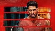 OTT पर मौजूद इन 5 फिल्मों में दिखा खूब खून-खराबा, क्या 'बागी 4' छोड़ेगी सबको पीछे?
