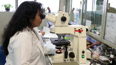 राजस्थान: लैब असिस्टेंट के 1,000 से अधिक पदों पर निकली भर्ती, ऐसे करें आवेदन राजस्थान: लैब असिस्टेंट के 1,000 से अधिक पदों पर निकली भर्ती, ऐसे करें आवेदन