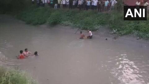 गणेश विसर्जन के दौरान हादसे, हरियाणा और उत्तर प्रदेश में 15 लोगों की डूबने से मौत गणेश विसर्जन के दौरान हादसे, हरियाणा और उत्तर प्रदेश में 15 लोगों की डूबने से मौत