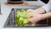 पकाने से पहले पत्तागोभी को अच्छी तरह साफ करने के लिए अपनाएं ये तरीके 