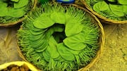 पान की पत्तियों से बनाए जा सकते हैं ये व्यंजन, खाने का मजा कर देंगे दोगुना