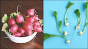 शलजम बनाम मूली: कौन-सी सब्जी है सेहत के लिए ज्यादा पौष्टिक?